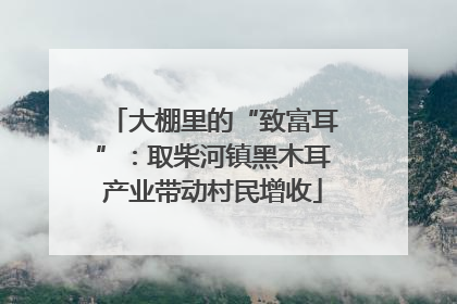 大棚里的“致富耳”：取柴河镇黑木耳产业带动村民增收