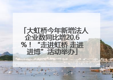 大虹桥今年新增法人企业数同比增20.6%！“走进虹桥 走进进博”活动举办