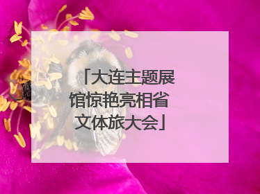 大连主题展馆惊艳亮相省文体旅大会