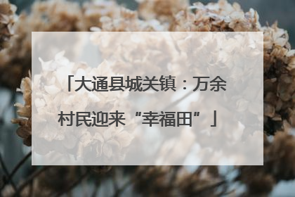 大通县城关镇：万余村民迎来“幸福田”
