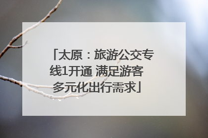 太原：旅游公交专线1开通 满足游客多元化出行需求