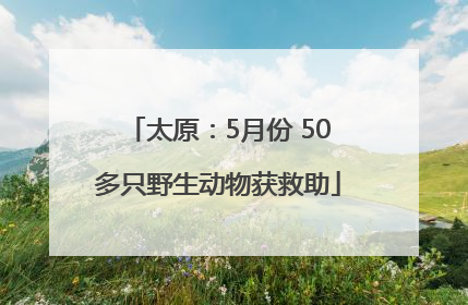 太原：5月份 50多只野生动物获救助