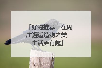 好物推荐｜在周庄邂逅造物之美 生活更有趣
