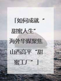 如何成就“甜蜜人生” 海外华媒聚焦山西高平“甜蜜工厂”