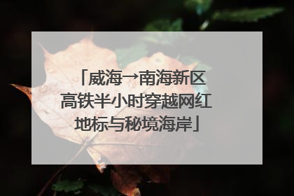 威海→南海新区 高铁半小时穿越网红地标与秘境海岸