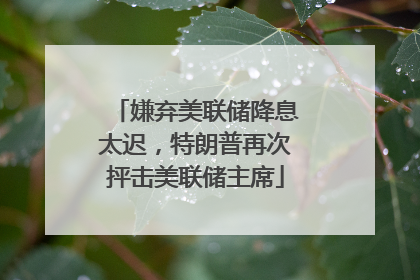 嫌弃美联储降息太迟，特朗普再次抨击美联储主席