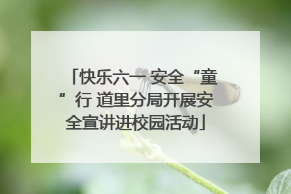 快乐六一 安全“童”行 道里分局开展安全宣讲进校园活动