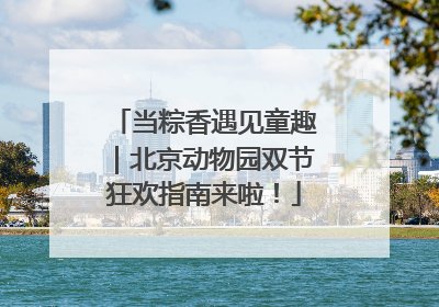 当粽香遇见童趣｜北京动物园双节狂欢指南来啦！