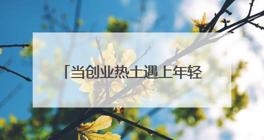 当创业热土遇上年轻气息，上海南汇新城发展如何再发力？