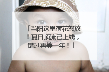 当阳这里荷花怒放！夏日顶流已上线，错过再等一年！
