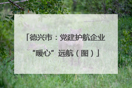 德兴市：党建护航企业“暖心”远航（图）