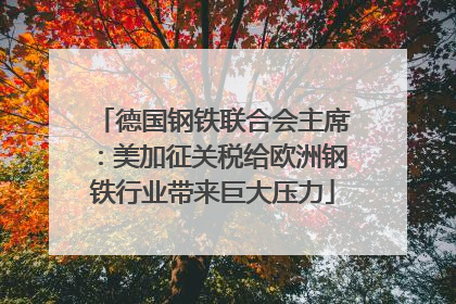 德国钢铁联合会主席：美加征关税给欧洲钢铁行业带来巨大压力