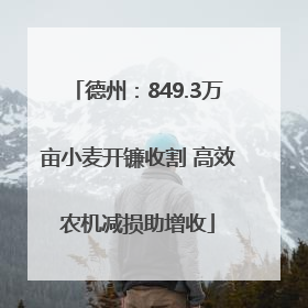 德州：849.3万亩小麦开镰收割 高效农机减损助增收
