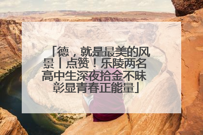 德，就是最美的风景丨点赞！乐陵两名高中生深夜拾金不昧 彰显青春正能量