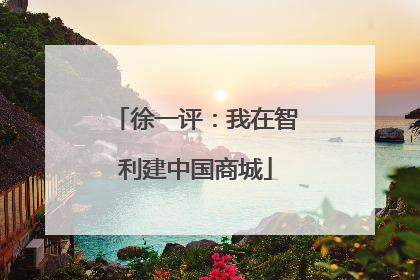 徐一评：我在智利建中国商城
