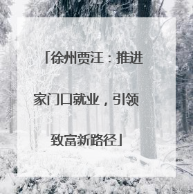 徐州贾汪：推进家门口就业，引领致富新路径