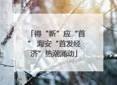 得“新”应“首” 海安“首发经济”热潮涌动