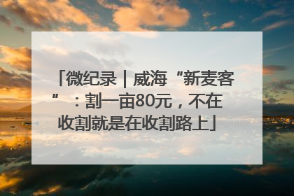 微纪录｜威海“新麦客”：割一亩80元，不在收割就是在收割路上