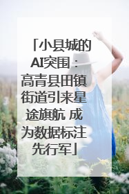 小县城的AI突围：高青县田镇街道引来星途旗航 成为数据标注先行军
