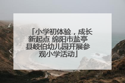 小学初体验，成长新起点 绵阳市盐亭县岐伯幼儿园开展参观小学活动