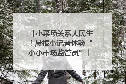 小菜场关系大民生！晨报小记者体验“小小市场监管员”