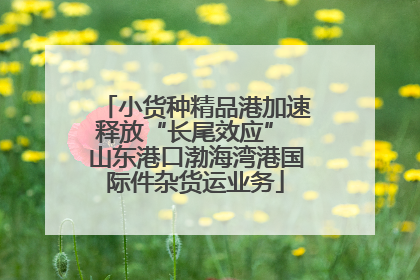 小货种精品港加速释放“长尾效应” 山东港口渤海湾港国际件杂货运业务