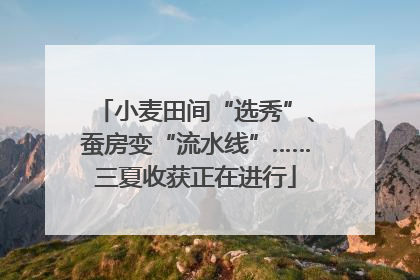 小麦田间“选秀”、蚕房变“流水线”……三夏收获正在进行