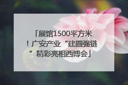 展馆1500平方米！广安产业“建圈强链”精彩亮相西博会