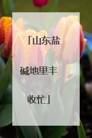 山东盐碱地里丰收忙