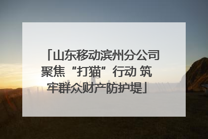 山东移动滨州分公司聚焦“打猫”行动 筑牢群众财产防护堤