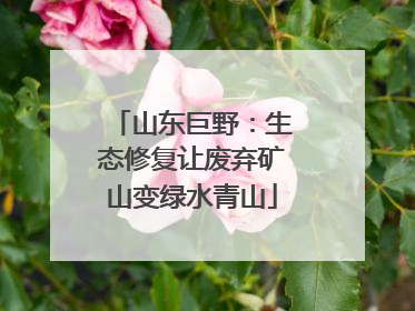 山东巨野：生态修复让废弃矿山变绿水青山