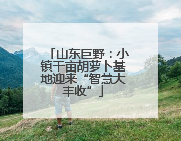 山东巨野：小镇千亩胡萝卜基地迎来“智慧大丰收”