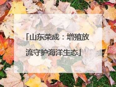 山东荣成：增殖放流守护海洋生态