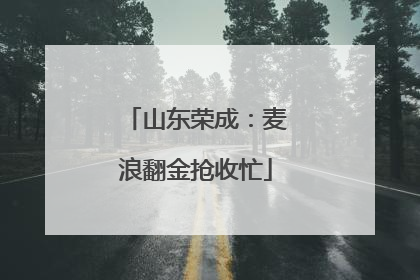 山东荣成：麦浪翻金抢收忙