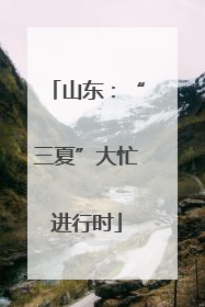 山东：“三夏”大忙进行时