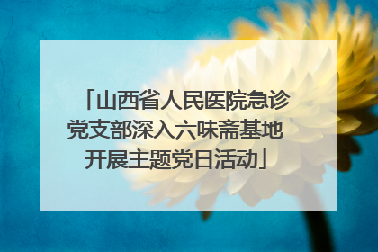 山西省人民医院急诊党支部深入六味斋基地开展主题党日活动