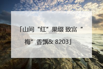 山间“红”果缀 致富“梅”香飘& 8203