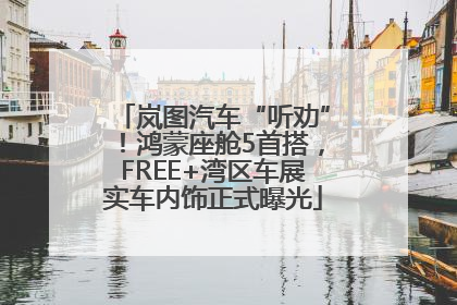 岚图汽车“听劝”！鸿蒙座舱5首搭，FREE+湾区车展实车内饰正式曝光