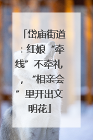 岱庙街道：红娘“牵线”不牵礼，“相亲会”里开出文明花