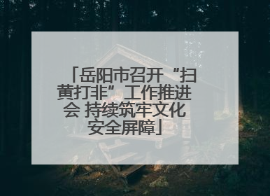 岳阳市召开“扫黄打非”工作推进会 持续筑牢文化安全屏障