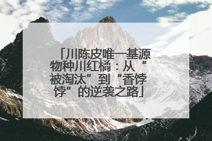 川陈皮唯一基源物种川红橘：从“被淘汰”到“香饽饽”的逆袭之路