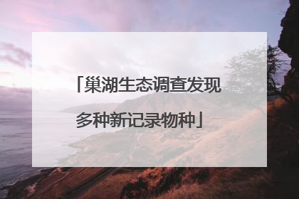 巢湖生态调查发现多种新记录物种