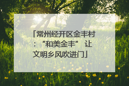 常州经开区金丰村：“和美金丰” 让文明乡风吹进门