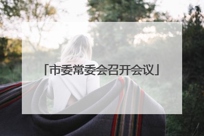 市委常委会召开会议