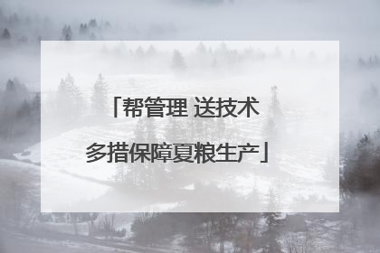 帮管理 送技术 多措保障夏粮生产
