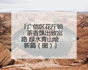 广信区花厅镇：茶香飘出致富路 绿水青山绘新篇（图）