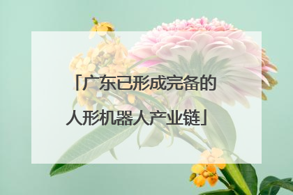 广东已形成完备的人形机器人产业链