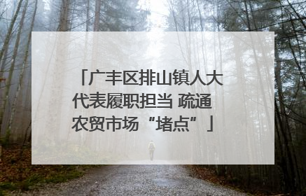 广丰区排山镇人大代表履职担当 疏通农贸市场“堵点”