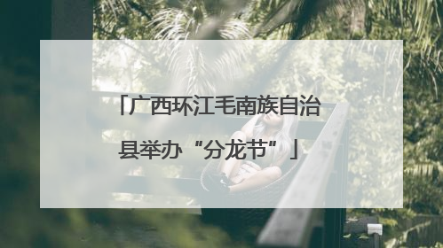 广西环江毛南族自治县举办“分龙节”