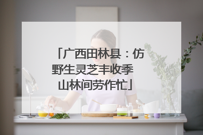 广西田林县：仿野生灵芝丰收季 山林间劳作忙